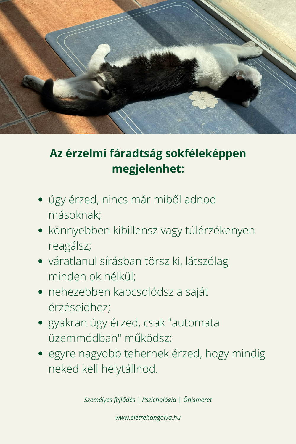 Cica kiterülve pihen a szőnyegen.