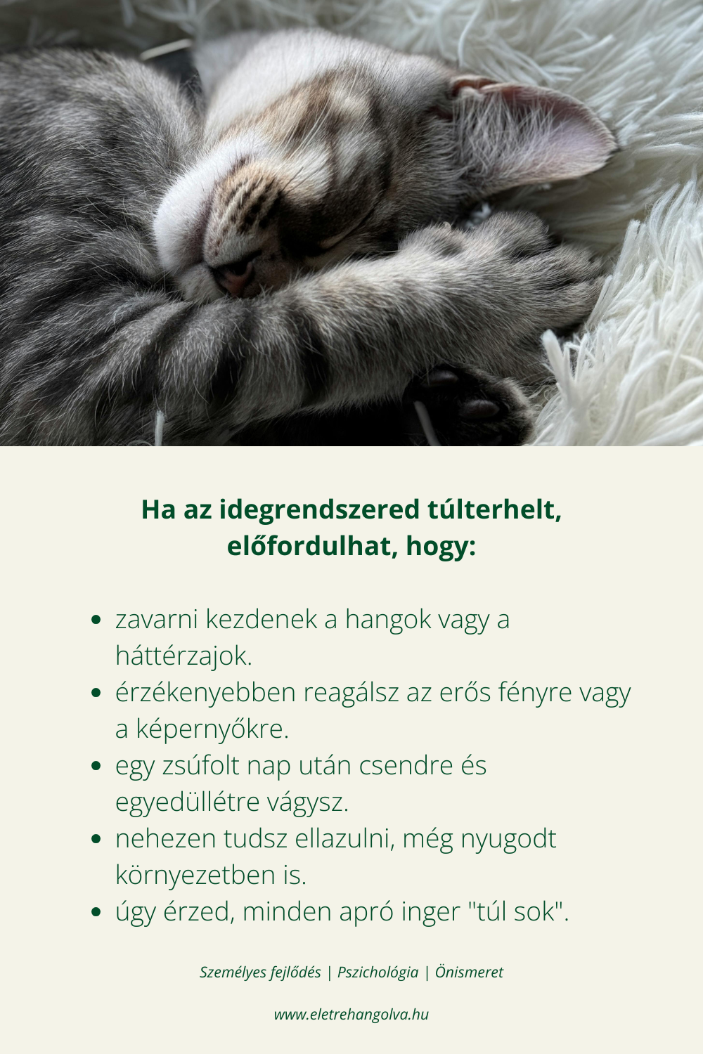 Cica eltakart arccal alszik.