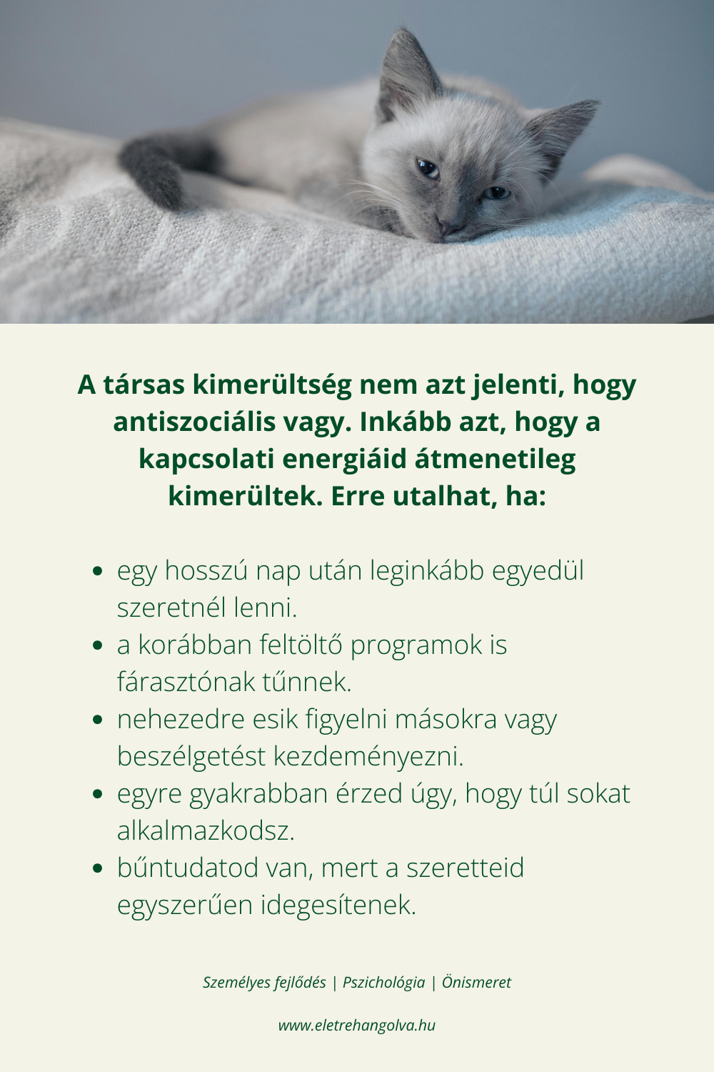 Cica fáradtan fekszik.