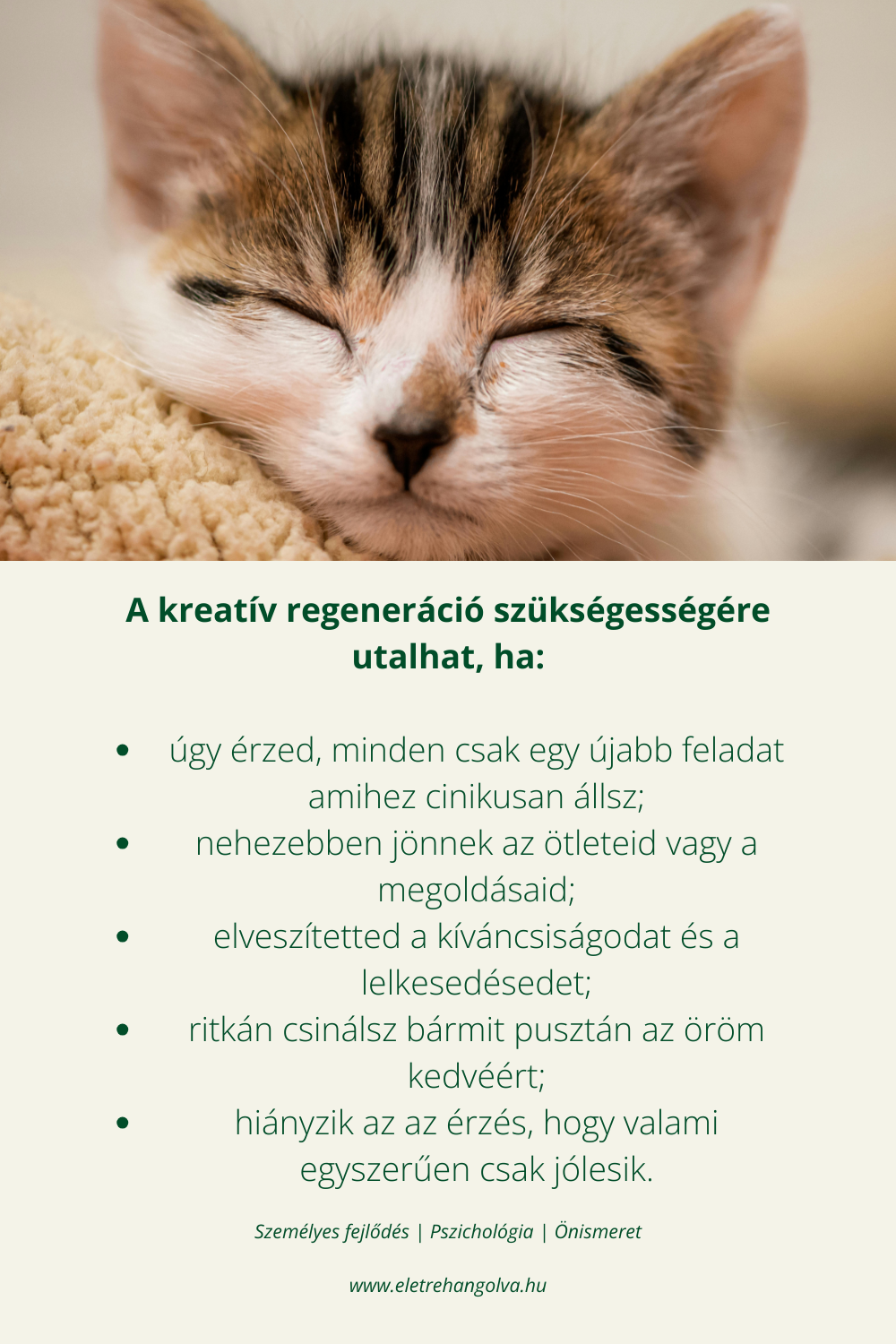 Cica alszik.